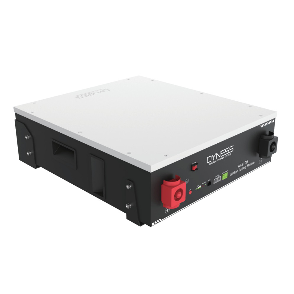 Batteria litio ferro fosfato LiFePO4 Dyness 4,8 kWh 48V | Dyness A48100
