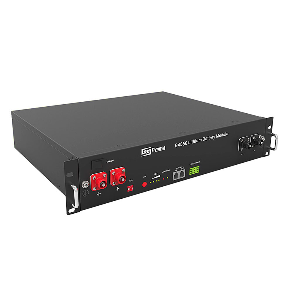 Batteria litio ferro fosfato LiFePO4 Dyness 2,4 kWh 48V | Dyness B4850