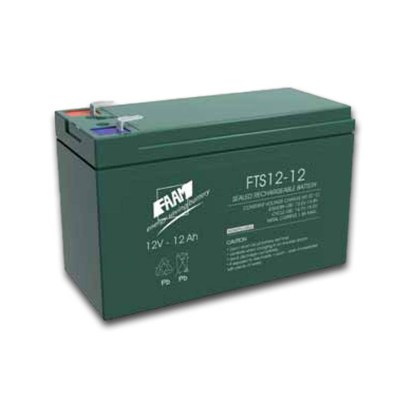 Batteria AGM piombo 12Ah 12V ermetica piastra piana | 1000 cicli | FAAM