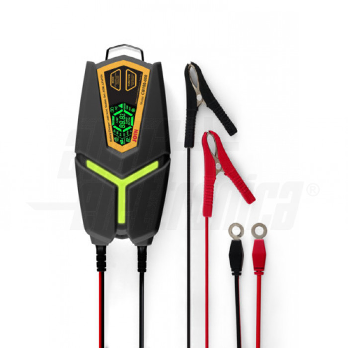 Carica batterie 2/4/8A 12/24V 5-160Ah Pb/LifePO4 - smart 9 fasi - IP65 - serie YGO