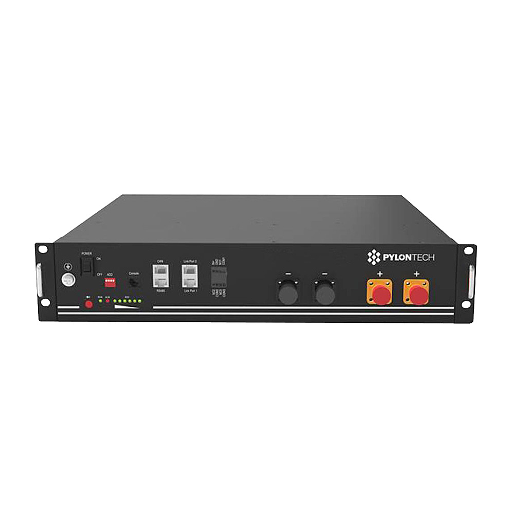 Batteria litio ferro fosfato LiFePO4 Pylontech 2,4 kWh 48V | US2000C