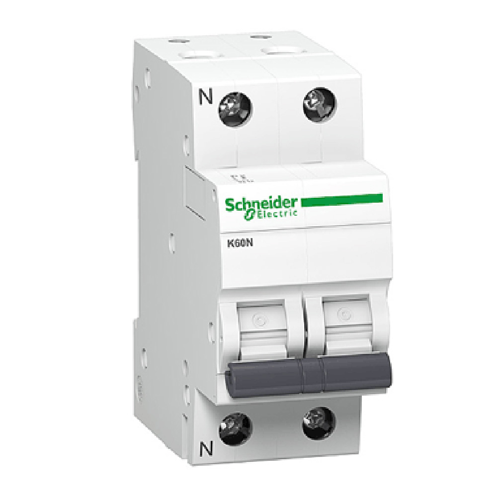 Interruttore magnetotermico Schneider CA 16A 2P