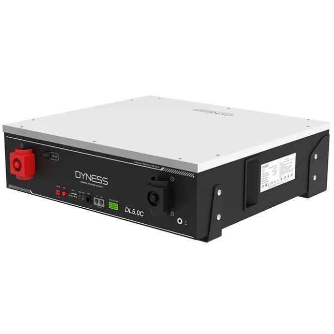Batteria litio ferro fosfato LiFePO4 Dyness 4,8 kWh 48V | Dyness A48100 (copia)