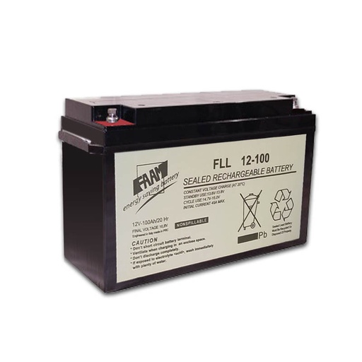 [FLL12-100] Batteria AGM piombo 100Ah 12V ermetica piastra piana | 1000 cicli | FAAM