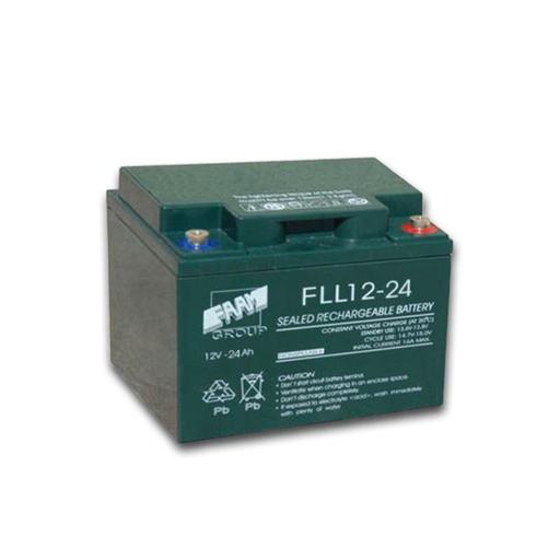 [FLL12-24] Batteria AGM piombo 24Ah 12V ermetica piastra piana | 1000 cicli | FAAM