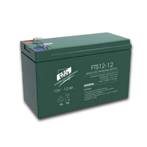 [FTS12-12] Batteria AGM piombo 12Ah 12V ermetica piastra piana | 1000 cicli | FAAM