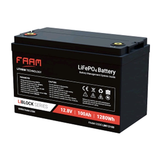 [LIB12-100] Batteria al Litio Ferro Fosfato 12V 100Ah LiFePo4 con BMS Smart | FAAM
